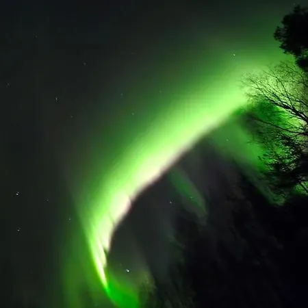 Meskalandia Rovaniemi